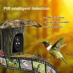 New Design 2MP 1080P Solar Bird Feeding Camera gallery 04