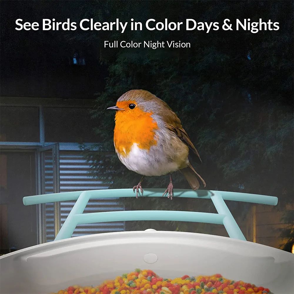 New Design Bird Feeder With Camera Solar Powered product detail 8