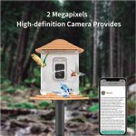 New Design Bird Feeder With Camera Solar Powered gallery 02