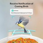 New Design Bird Feeder With Camera Solar Powered gallery 05