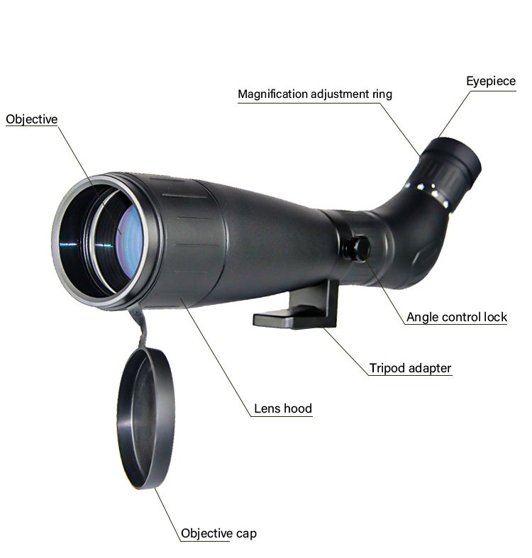 Outdoor 20-60x60 BK7 Zoom Telescope for Bird Watching product detail 3