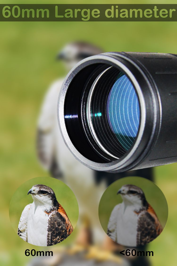 Outdoor 20-60x60 BK7 Zoom Telescope for Bird Watching product detail 4
