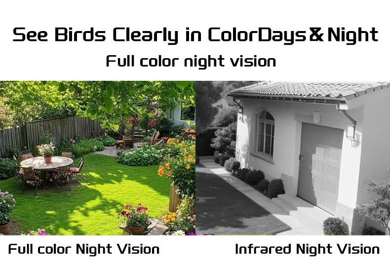 Outdoor Bird Feeder Camera Solar-Powered Humming Bird Visual product detail 3