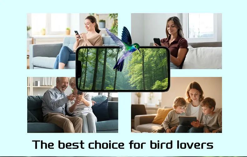 Outdoor Bird Feeder Camera Solar-Powered Humming Bird Visual product detail 4