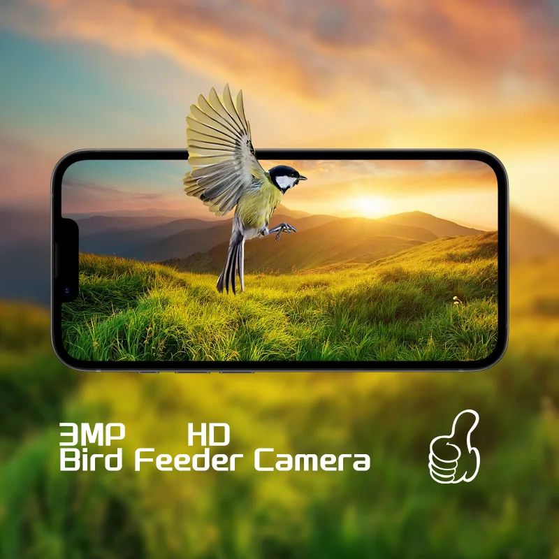 Outdoor Bird Feeder Camera Solar-Powered Humming Bird Visual product detail 6
