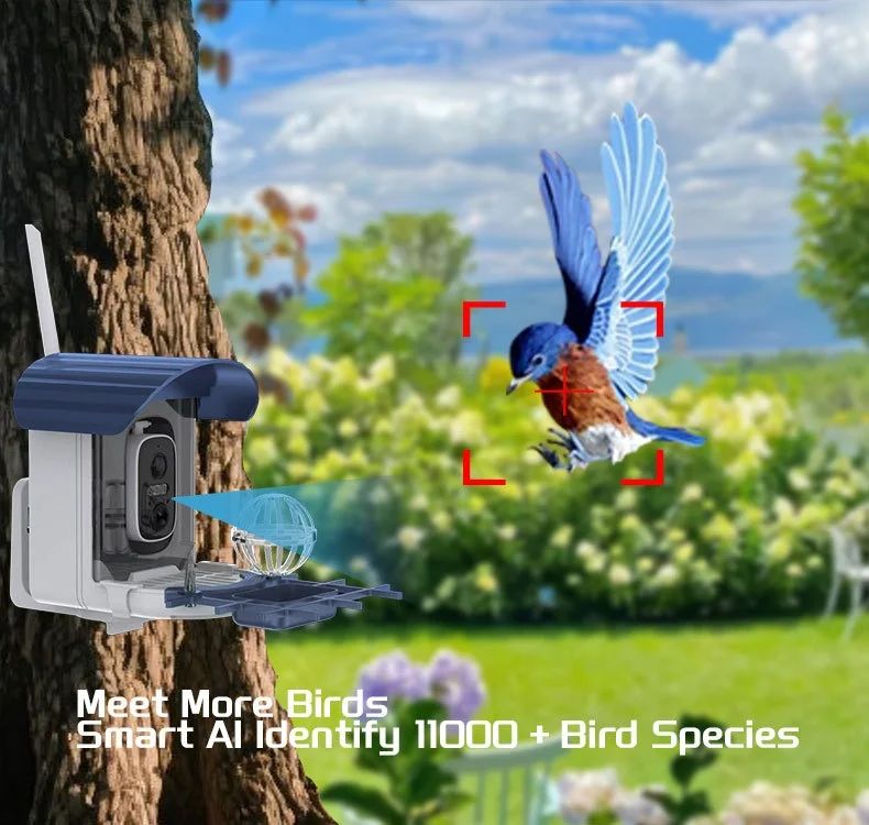 Outdoor Bird Feeder Camera Solar-Powered Humming Bird Visual product detail 7