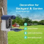 Outdoor Bird Feeder Camera Solar-Powered Humming Bird Visual gallery 02