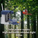 Outdoor Bird Feeder Camera Solar-Powered Humming Bird Visual gallery 04