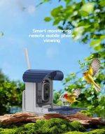Outdoor Bird Feeder Camera Solar-Powered Humming Bird Visual gallery 06
