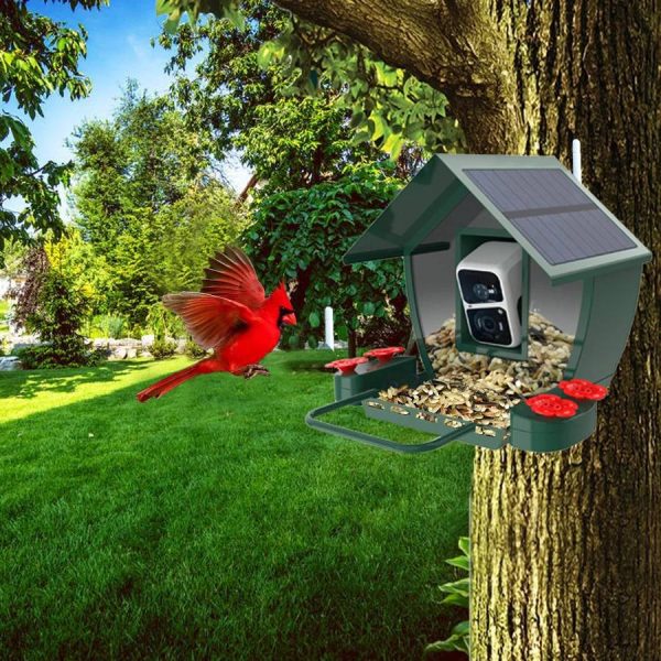 Outdoor Garden Metal HD Night Vision AI Identify main