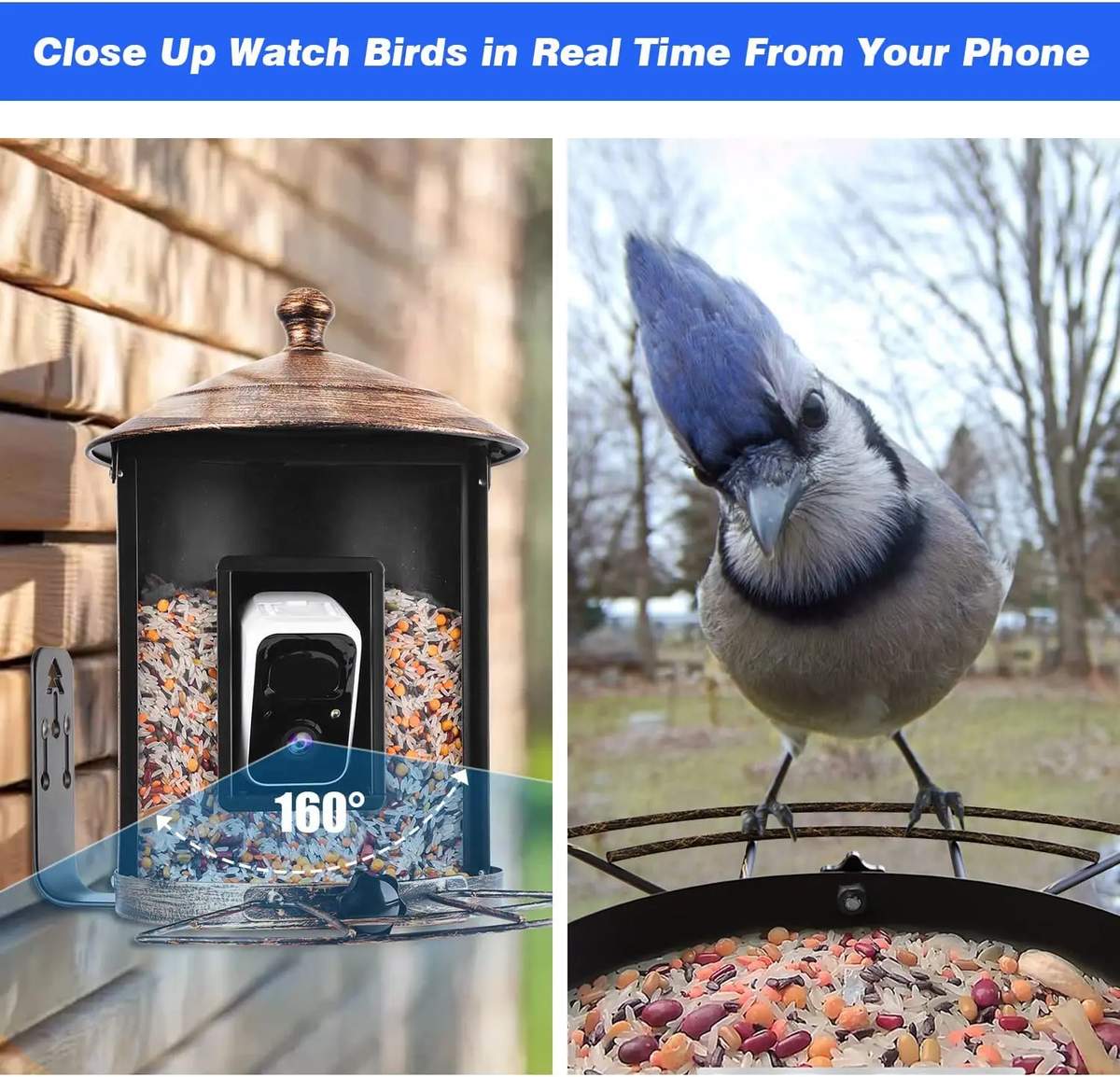 Outdoor Garden Smart Bird Feeder With Camera AI product detail 2