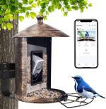 Outdoor Garden Smart Bird Feeder With Camera AI gallery 01