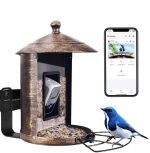 Outdoor Garden Smart Bird Feeder With Camera AI gallery 02