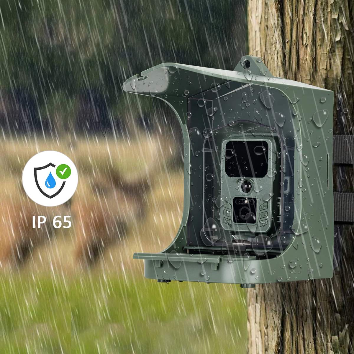 Outdoor Garden Waterproof Smart Window Bird Feeder Wildlife product detail 7