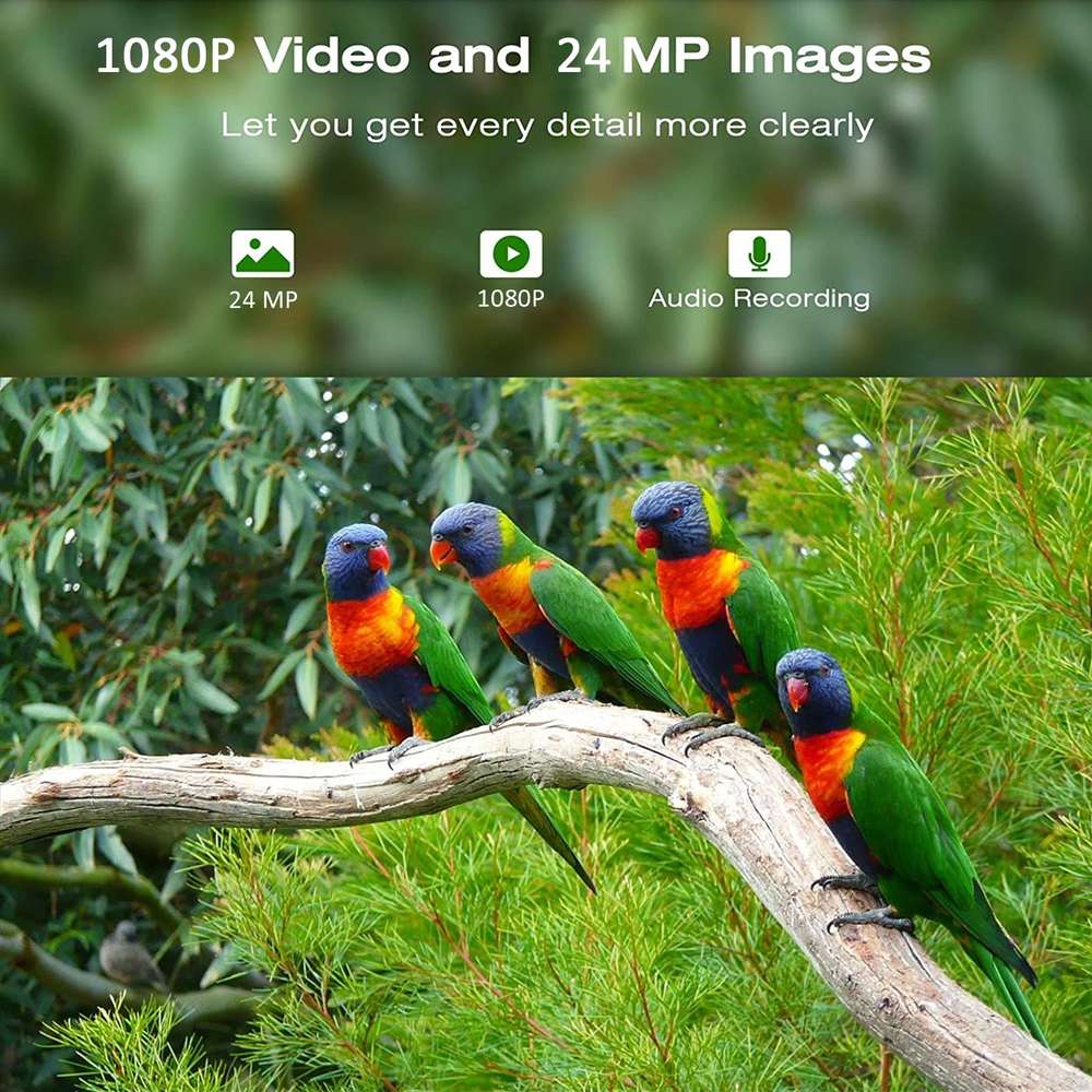 Outdoor Garden Waterproof Smart Window Bird Feeder Wildlife product detail 8