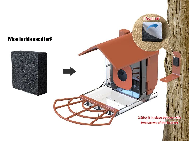 Outdoor Smart Bird Feeder W/ Camera Housing Compatible product detail 10