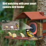 Outdoor Smart Bird Feeder W/ Camera Housing Compatible gallery 03