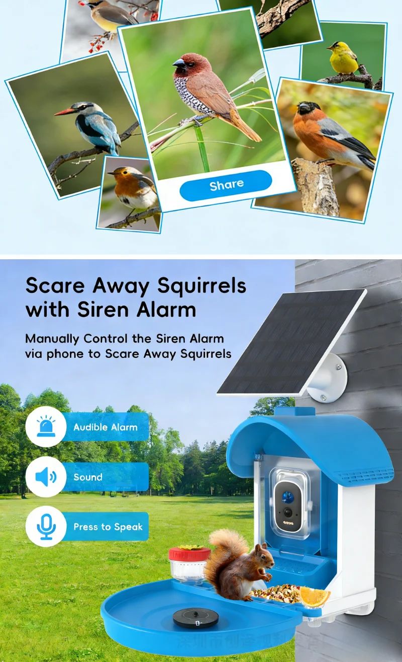 Outdoor Solar Bird Feeder Camera 5MP HD Video product detail 2
