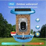 Outdoor Solar Bird Feeder Camera 5MP HD Video main