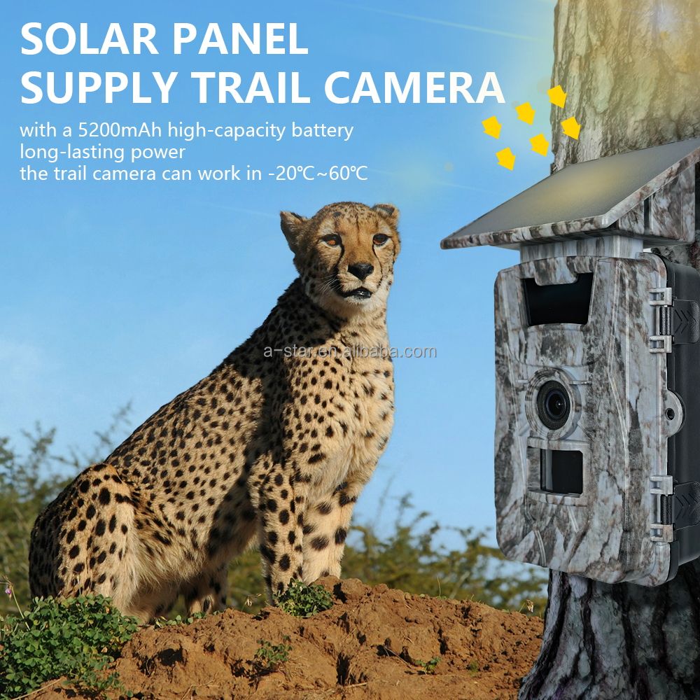 Hot PR903DW 4K CMOS 60MP Wi-Fi Waterproof Solar Battery Powered Wildlife Free App Control Photo Trap Game Hunting Trail Camera