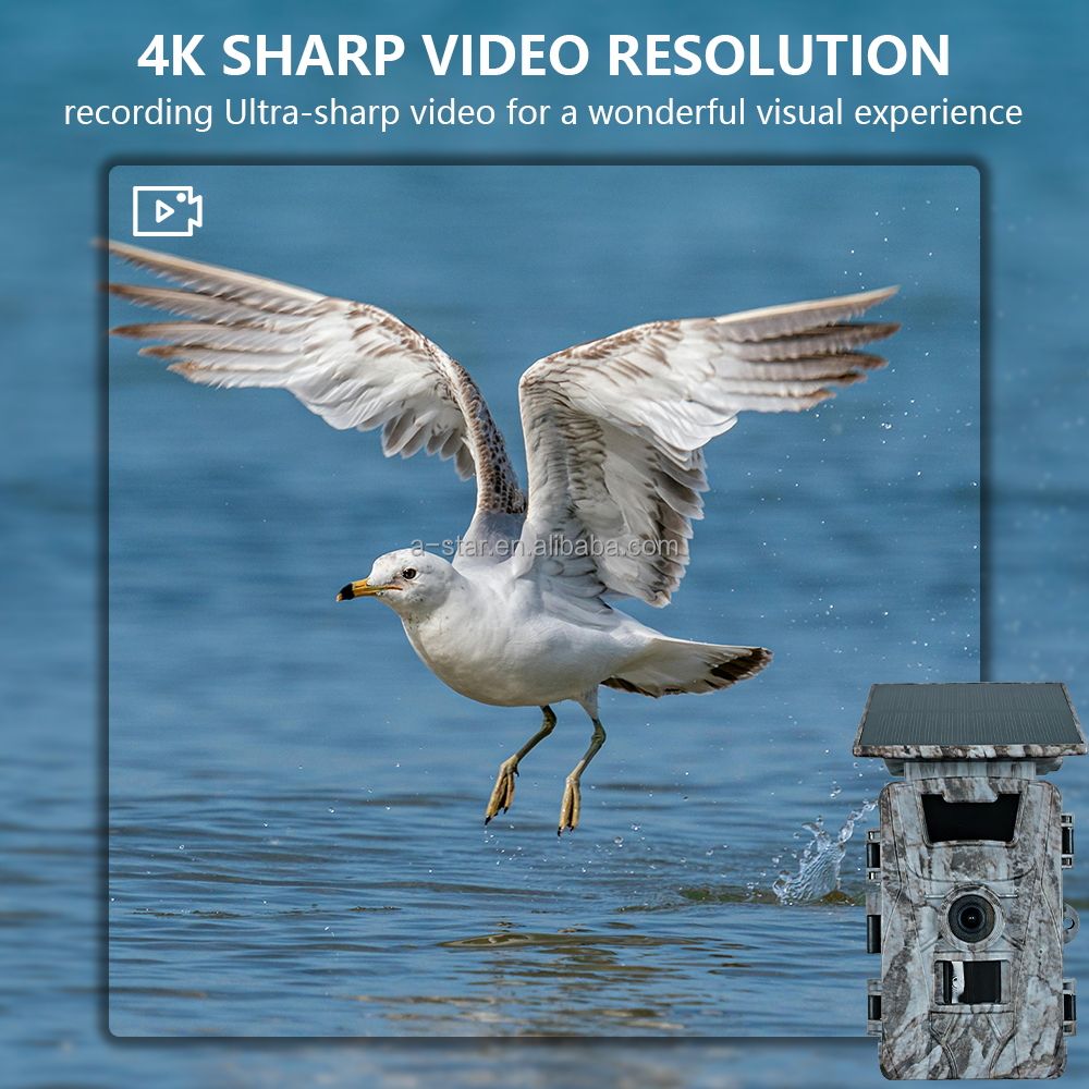 Hot PR903DW 4K CMOS 60MP Wi-Fi Waterproof Solar Battery Powered Wildlife Free App Control Photo Trap Game Hunting Trail Camera