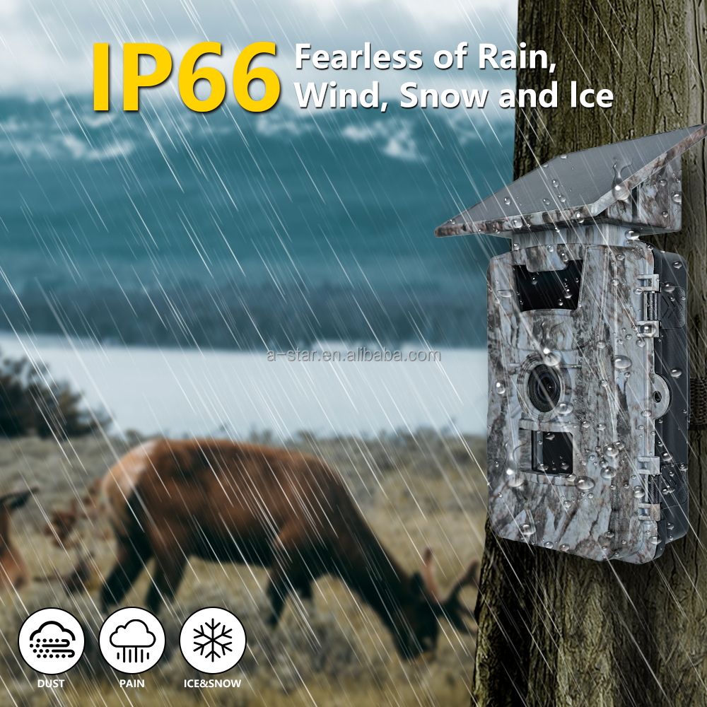 Hot PR903DW 4K CMOS 60MP Wi-Fi Waterproof Solar Battery Powered Wildlife Free App Control Photo Trap Game Hunting Trail Camera