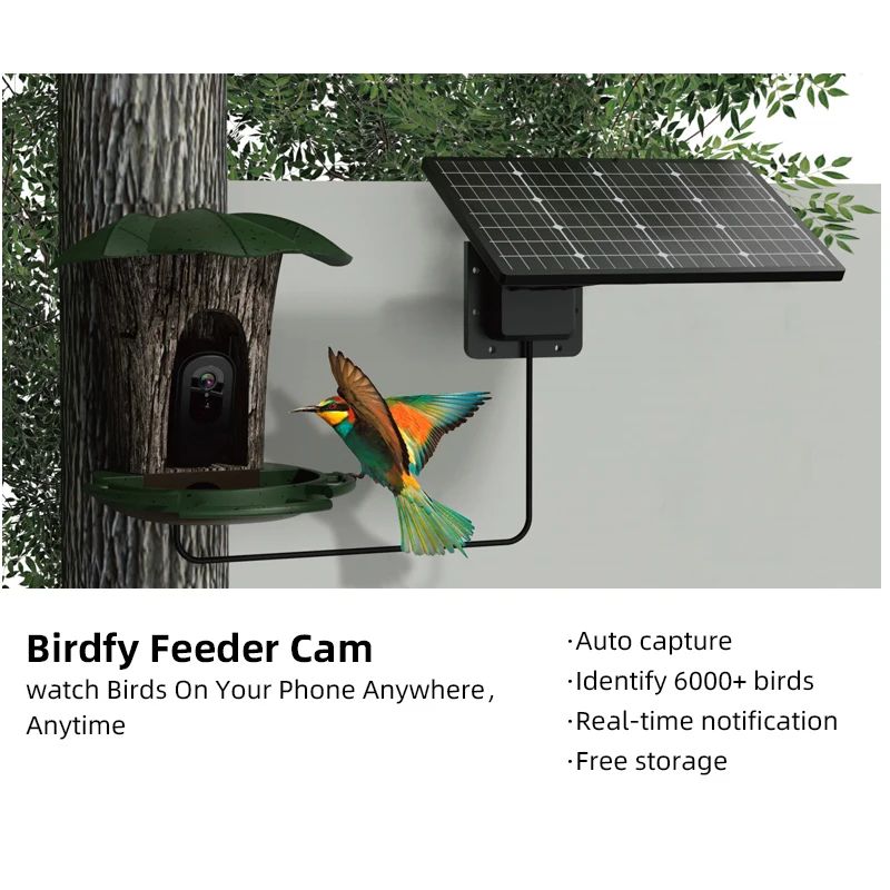 RS1 Bird Identification Camera Waterproof 2MP 6W Solar product detail 4