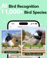 Smart AI Camera Bird Feeder Automatic Recognition Real gallery 03
