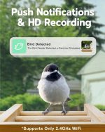 Smart AI Camera Bird Feeder Automatic Recognition Real gallery 04