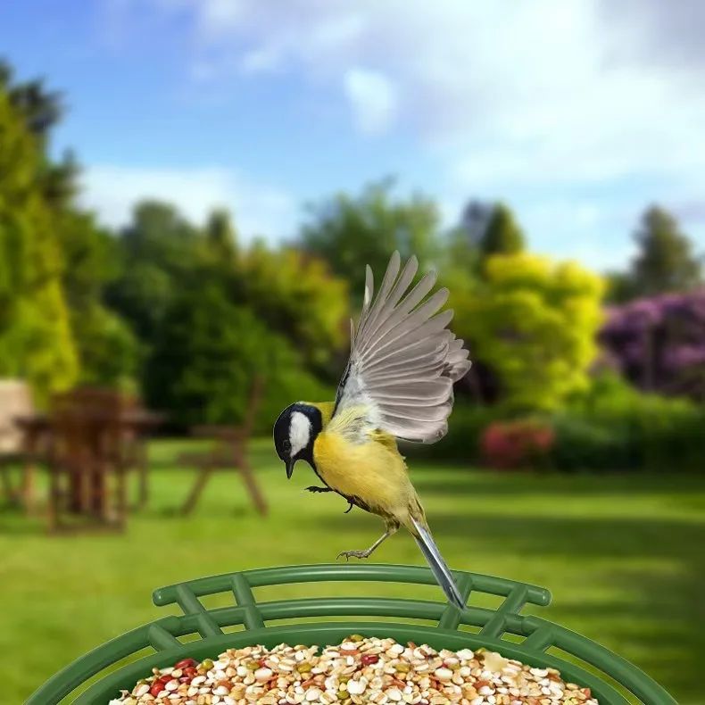 Smart Ai RS1Recognition Bird Feeder WiFi & 4G product detail 4