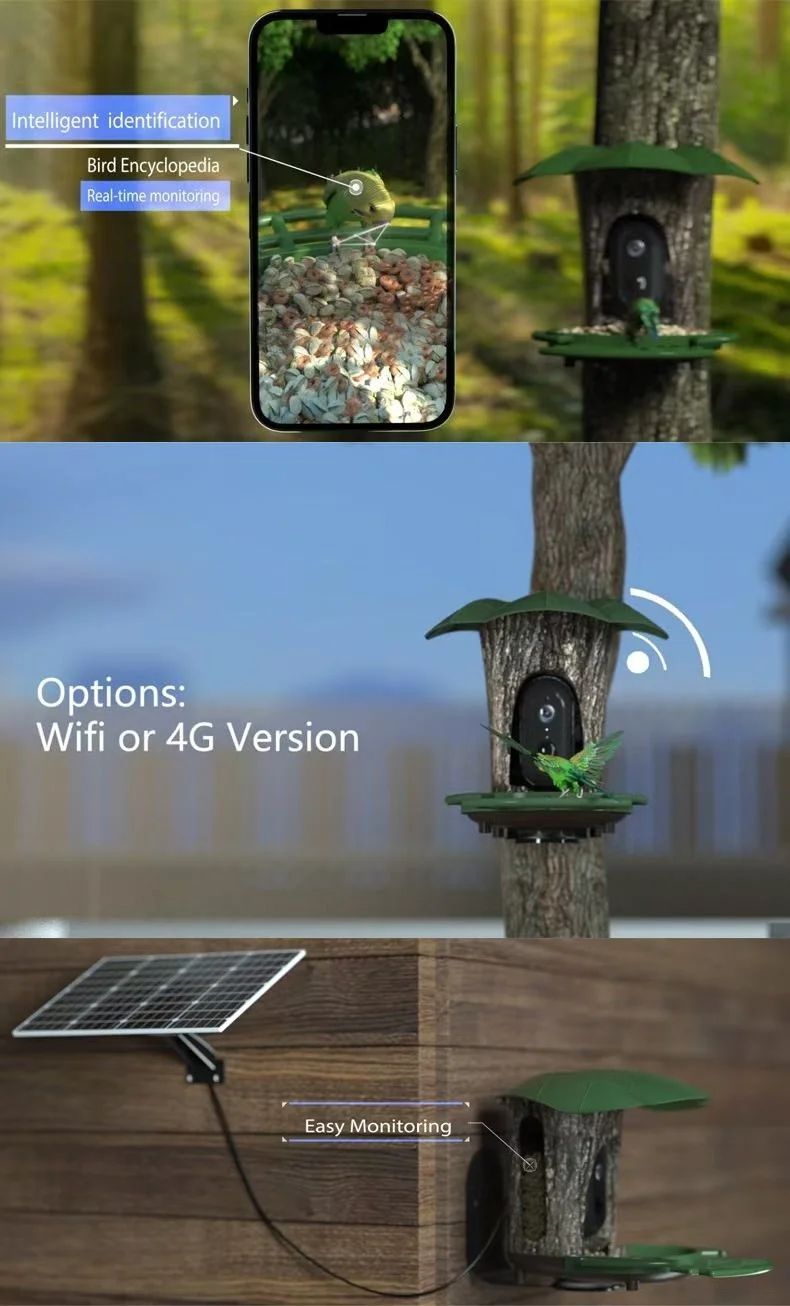 Smart Ai RS1Recognition Bird Feeder WiFi & 4G product detail 6