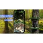 Smart Ai RS1Recognition Bird Feeder WiFi & 4G gallery 06