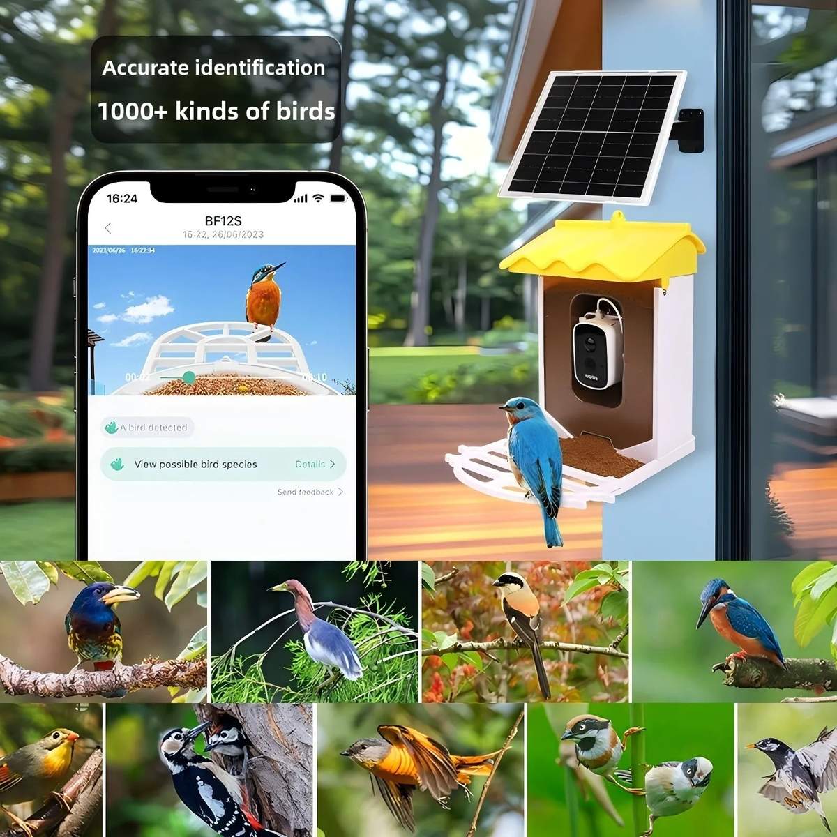 Smart Bird Feeder AI-Powered Bird Recognition product detail 6