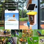 Smart Bird Feeder AI-Powered Bird Recognition gallery 03