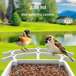 Smart Bird Feeder AI-Powered Bird Recognition gallery 04
