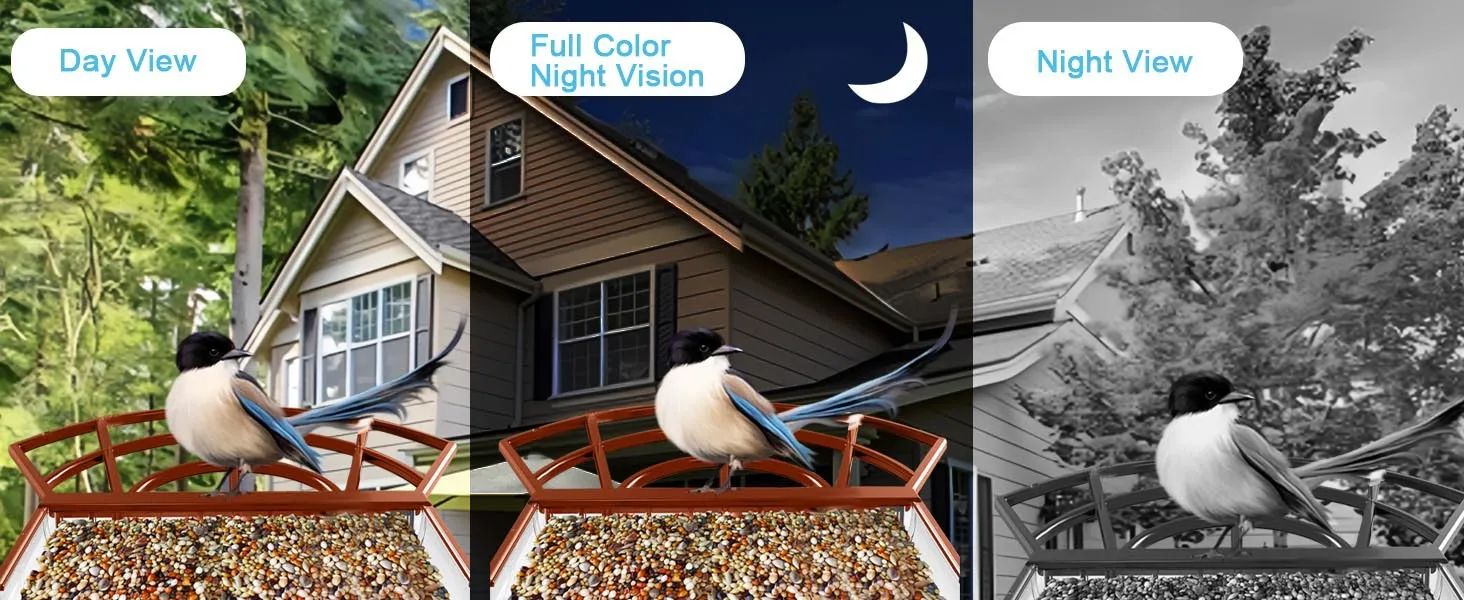 Smart Bird Feeder AI Recognition Solar Powered Outdoor product detail 2