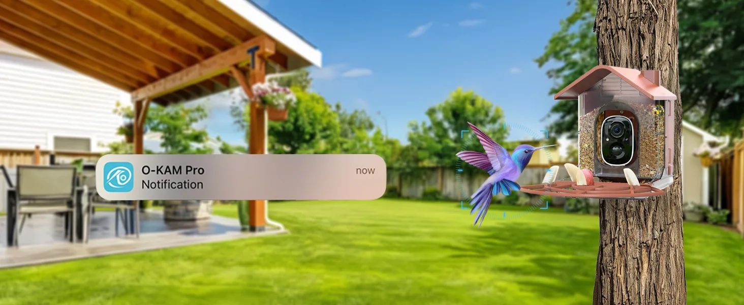 Smart Bird Feeder AI Recognition Solar Powered Outdoor product detail 10