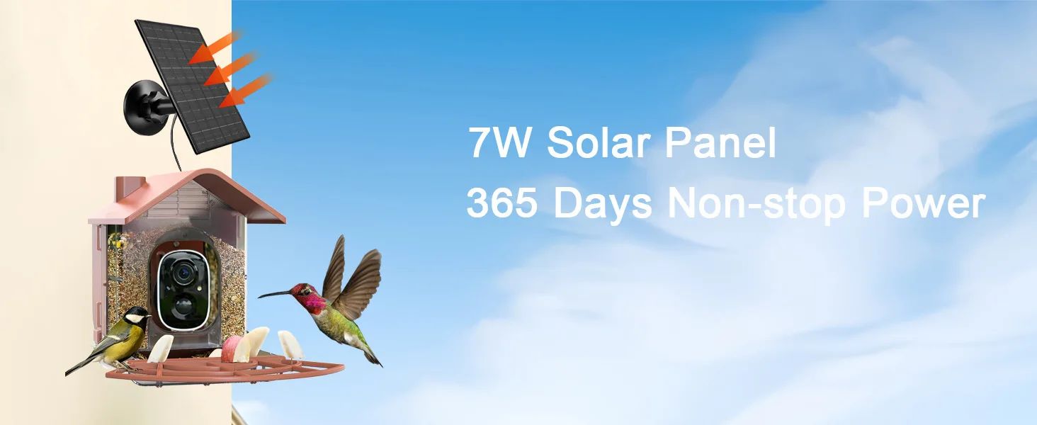 Smart Bird Feeder AI Recognition Solar Powered Outdoor product detail 11