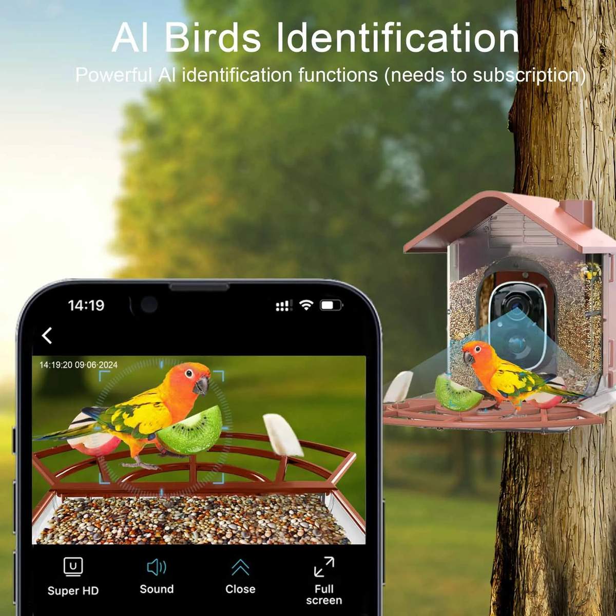 Smart Bird Feeder AI Recognition Solar Powered Outdoor product detail 13