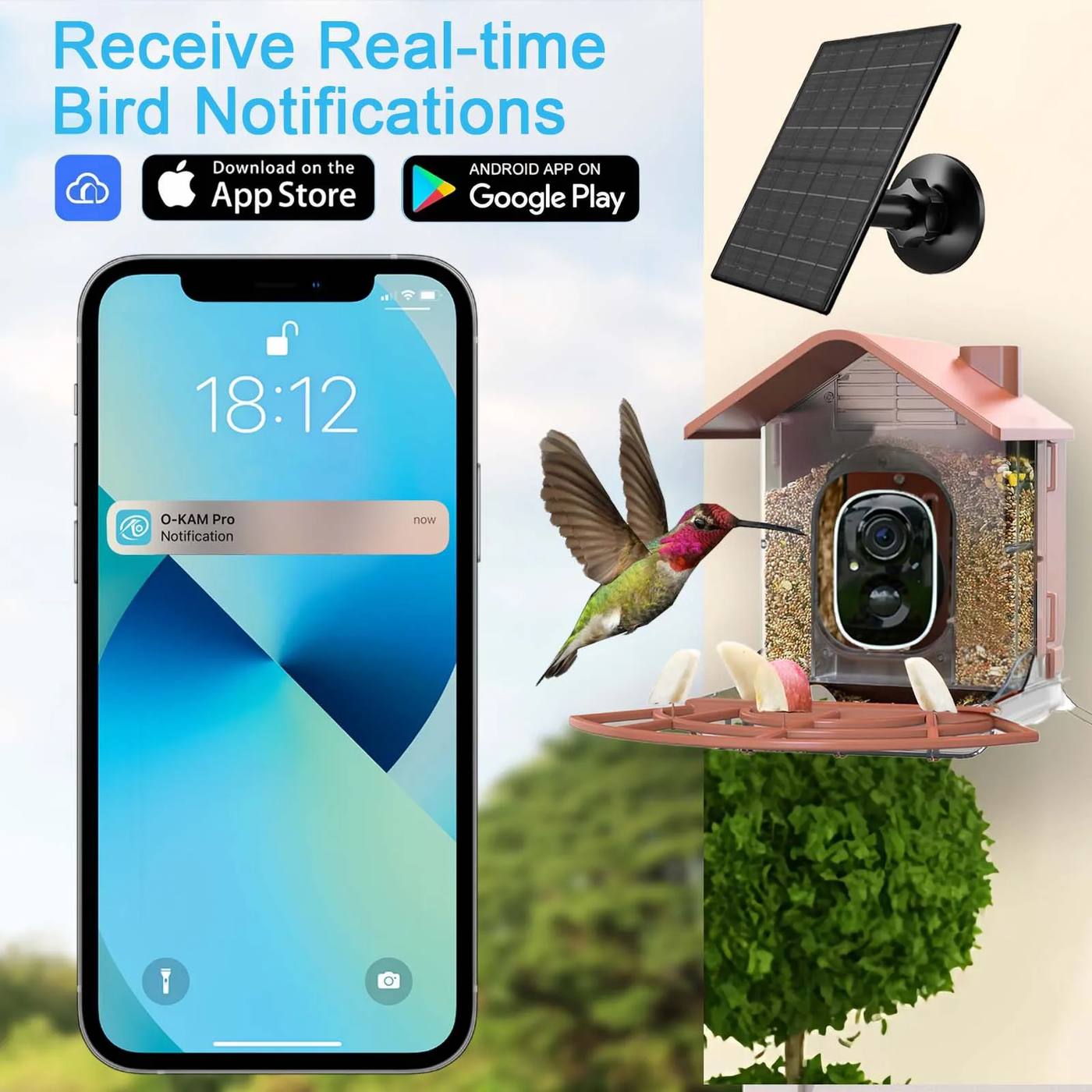 Smart Bird Feeder AI Recognition Solar Powered Outdoor product detail 15