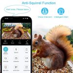 Smart Bird Feeder AI Recognition Solar Powered Outdoor gallery 03