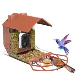 Smart Bird Feeder AI Recognition Solar Powered Outdoor main