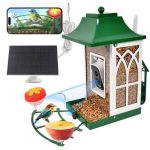 Smart Bird Feeder Camera with Solar Panel, 1080P gallery 03