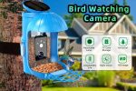 Smart Bird Feeder Camera With Solar Panel Auto gallery 02
