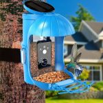 Smart Bird Feeder Camera With Solar Panel Auto main