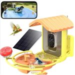 Smart Bird Feeder for Drinking Swimming Camera AI gallery 10