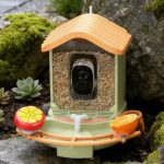 Smart Bird Feeder for Drinking Swimming Camera AI gallery 12