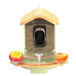 Smart Bird Feeder for Drinking Swimming Camera AI gallery 14