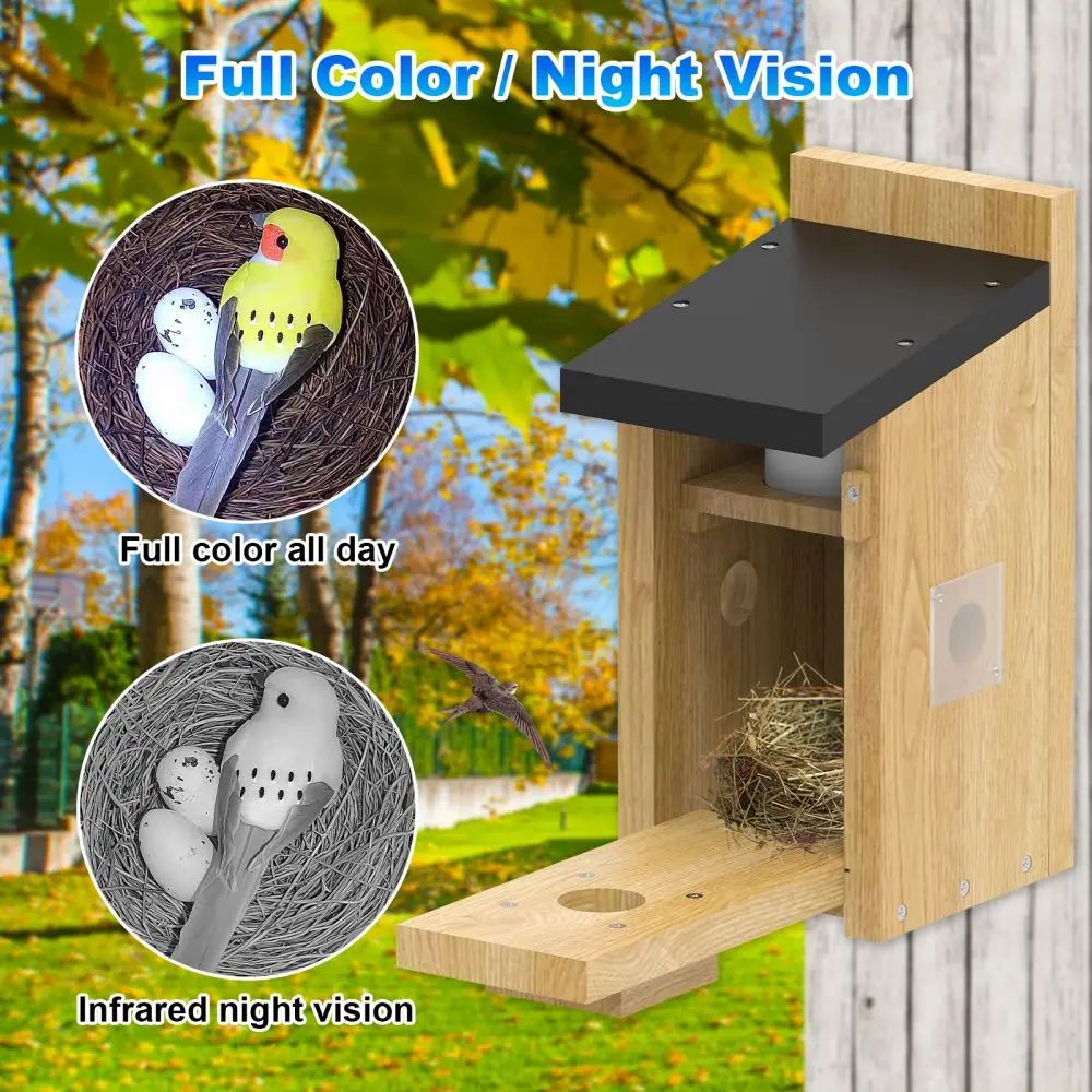 Smart Bird Feeder House Solar Low Power HD product detail 3