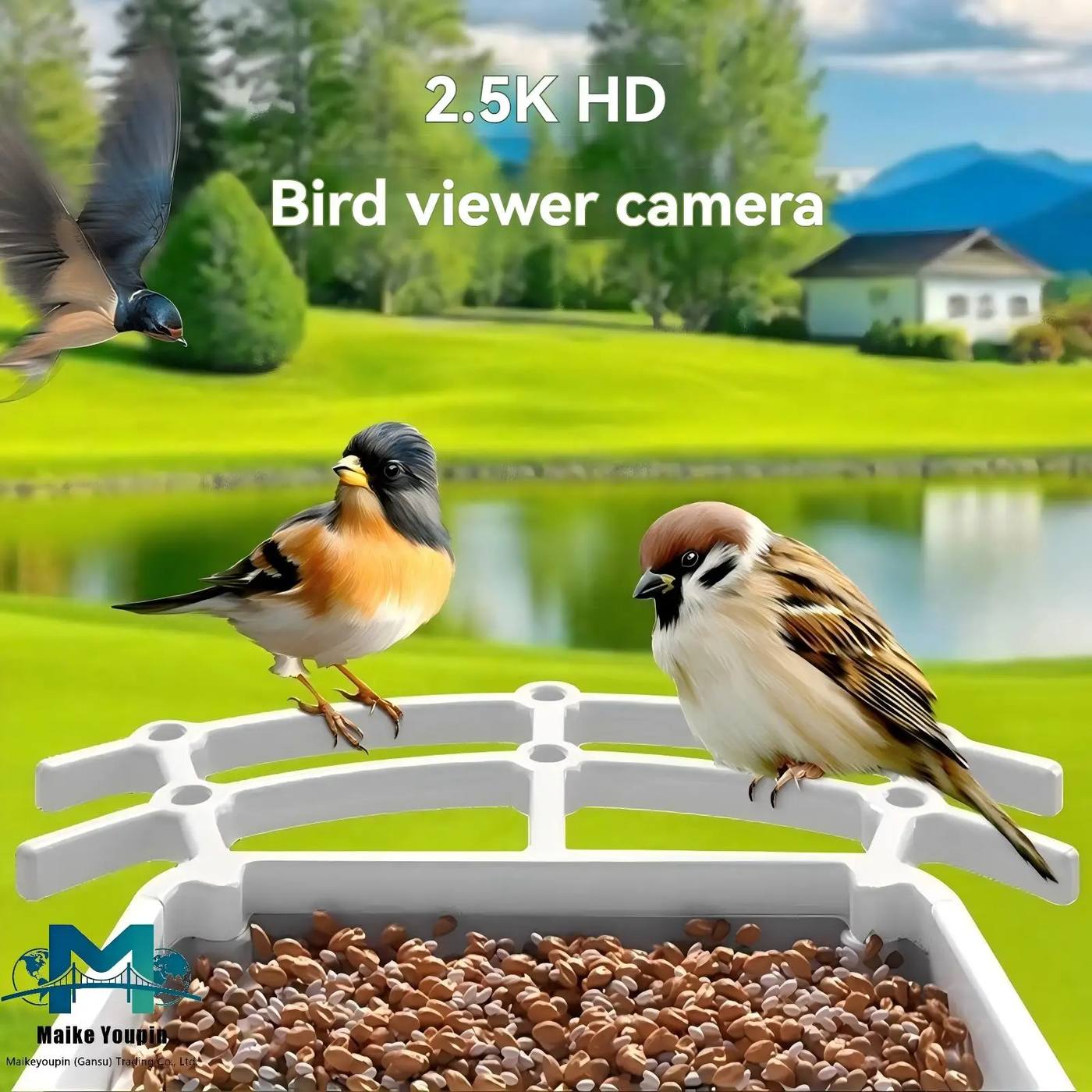 Smart Bird Feeder with Camera 2L Automatic WiFi product detail 1